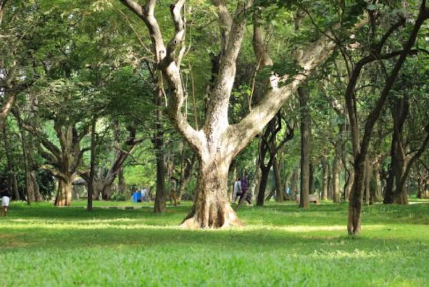 Cubbon Park_4
